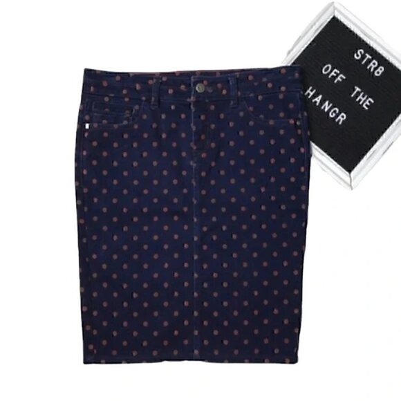 Anthropologie Dresses & Skirts - Anthropologie PILCRO blue jean polkadot skirt